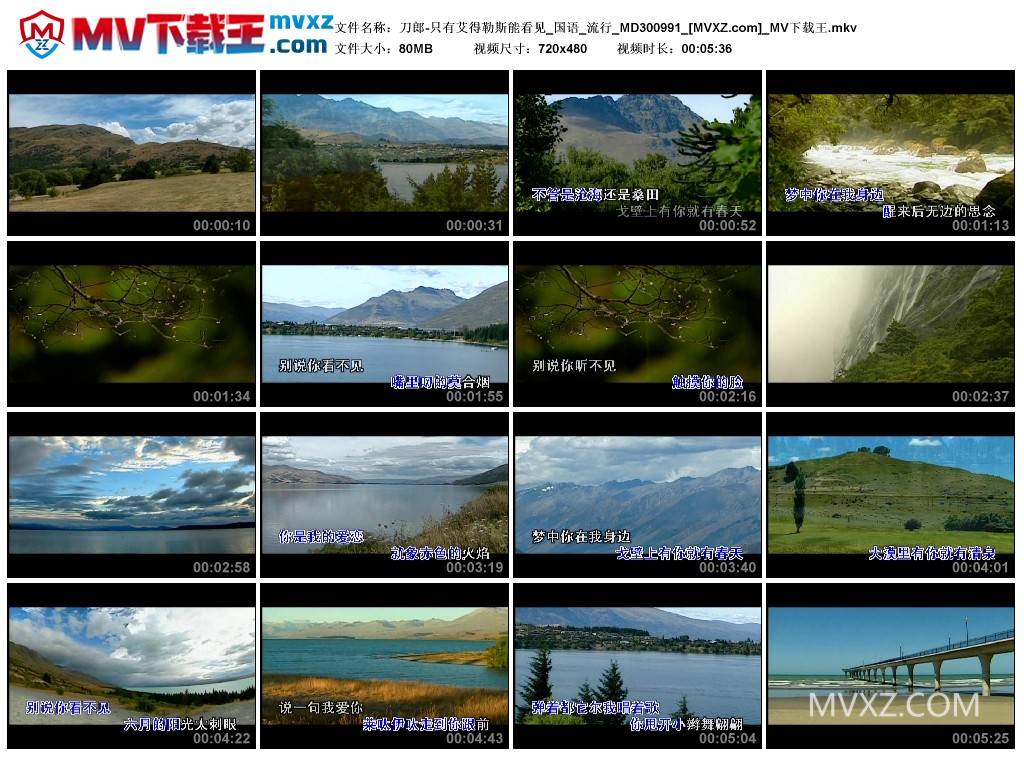 刀郎-只有艾得勒斯能看见_国语_流行_MD300991